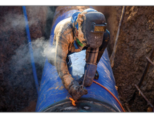 When a Single Electric Shock Reshapes a Nation’s Safety Landscape: Lessons from the Multi-Employer Worksite Crisis